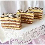 Prajitura cu cocos si foi cu cacao